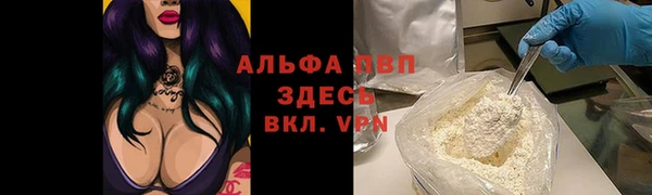 прущие грибы Алексеевка