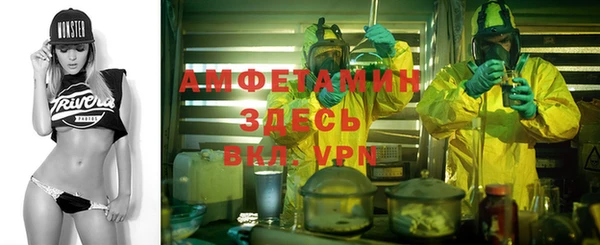 прущие грибы Алексеевка