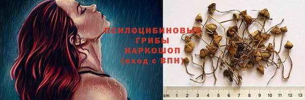 прущие грибы Алексеевка