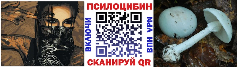 купить наркотик  Асбест  Псилоцибиновые грибы Magic Shrooms 